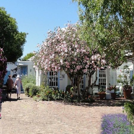 Eastbury Cottage Hermanus Dış mekan fotoğraf