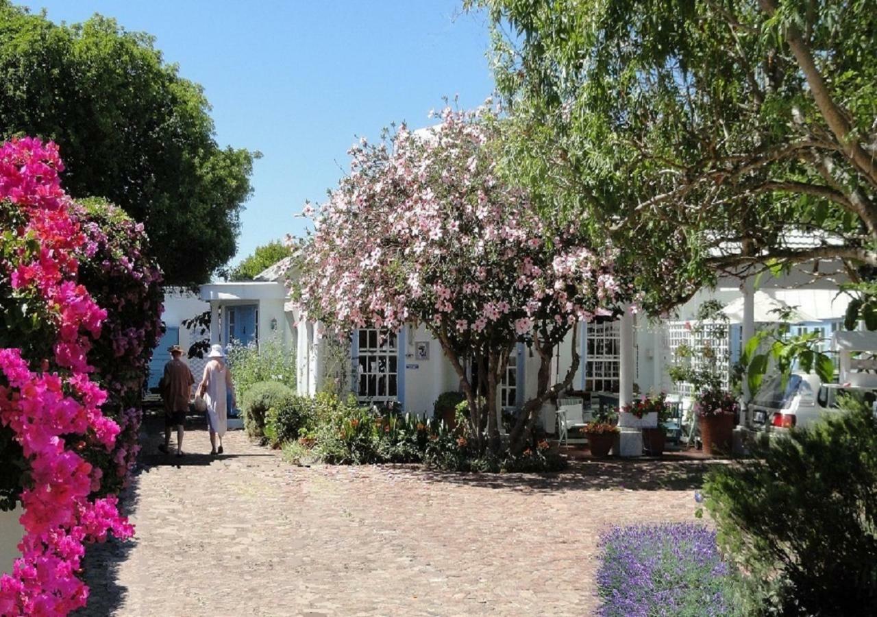 Eastbury Cottage Hermanus Dış mekan fotoğraf